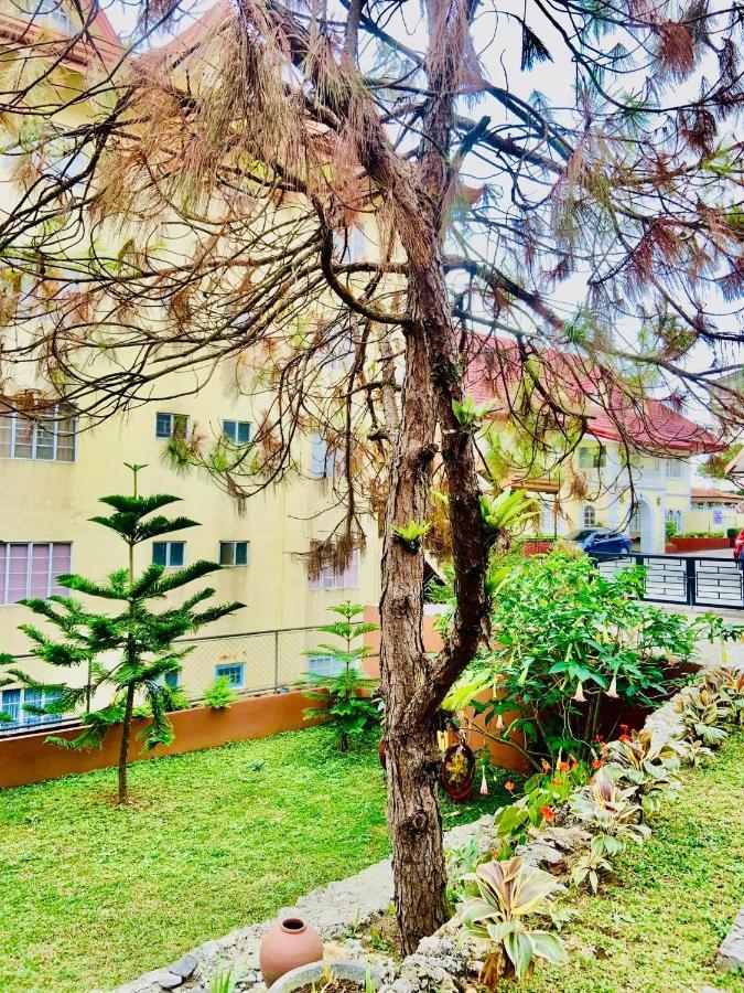 Elliannah Pines Hotel Baguio City Exterior photo